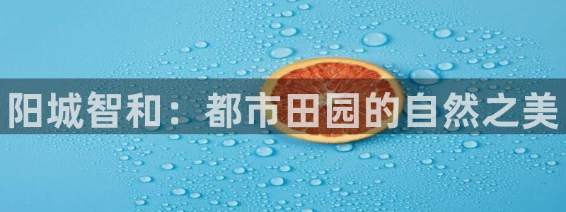 必一体育周公