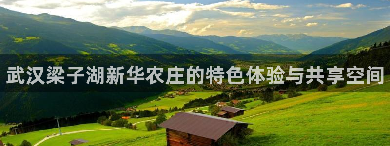 必一体育服下载最新版本更新内容