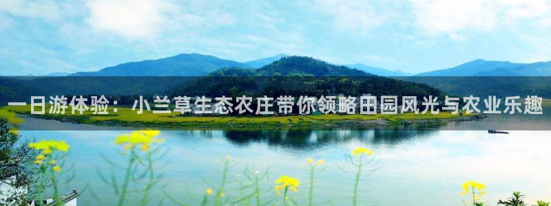 必一体育bsport下载