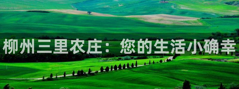 必一体育手机下载
