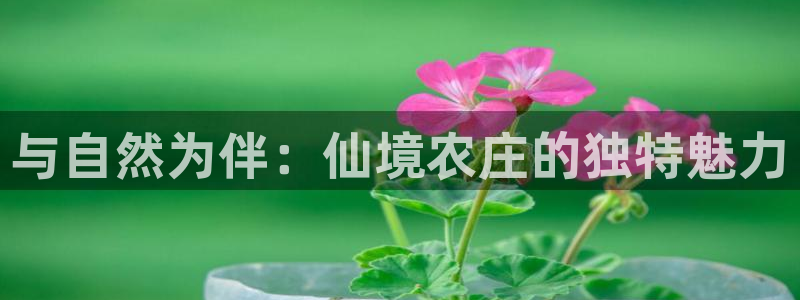 必一运动官网平台