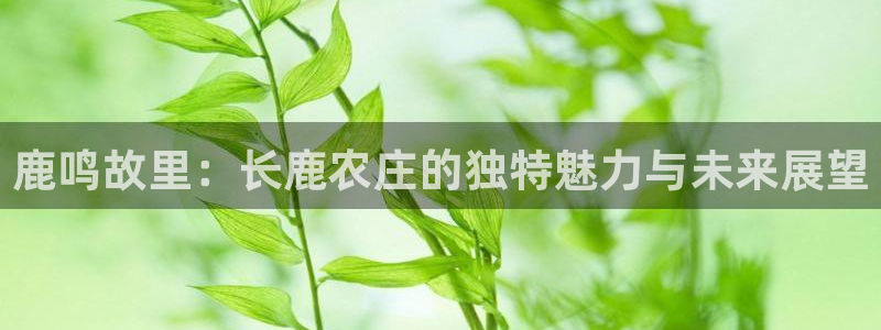 必一体育sport
