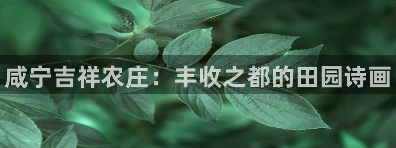 必一体育是啥
