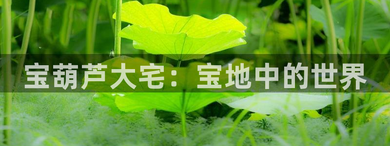 必一体育下载秀给网