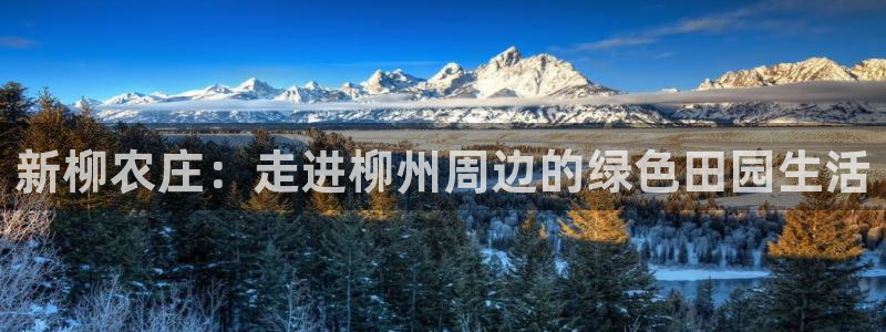 必一体育登录入口