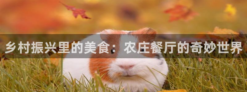 必一运动体育官网下载